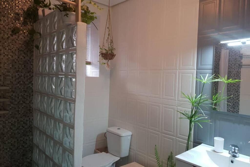 Bonito Y Coqueto Apartamento Córdoba Eksteriør bilde