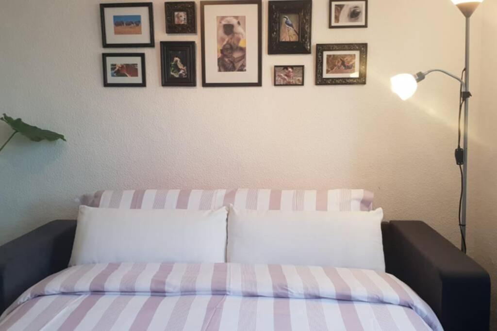 Bonito Y Coqueto Apartamento Córdoba Eksteriør bilde