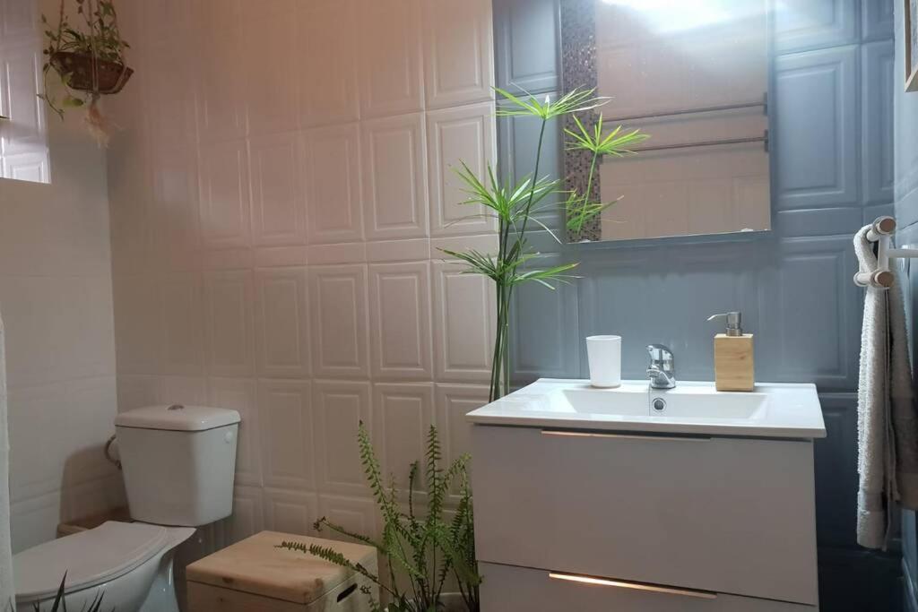Bonito Y Coqueto Apartamento Córdoba Eksteriør bilde